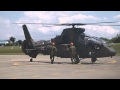 Japanese Self Defense Force- "Apache" and "Omega" helicopter landing