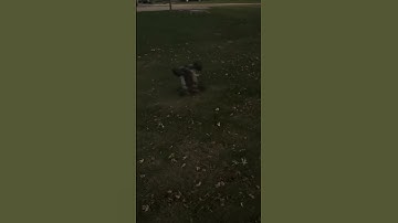 My son bashing the arrma notorious 6s back flip and front flip rc fun!!! #arrma #arrmakraton