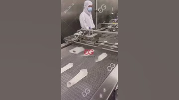 Automatic Spring Roll Making Machine with 1000-12000 Pieces/h