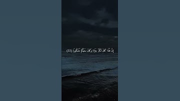 سورة الانسان #quran #اكسبلور #الرحمن #قرآن #لايك #المصحف #راحة_نفسية #تلاوة #تلاوات #راحة #سكينة