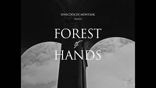 Synecdoche Montauk — Forest Of Hands (Official Acoustic Video)