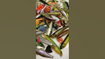 Lure001, ima, Mồi lure, Mồi giã, Câu cá Chẻm, cá Nhòng, cá Măng, Cá Rô Phi, Cá Lóc, @MacroZV1