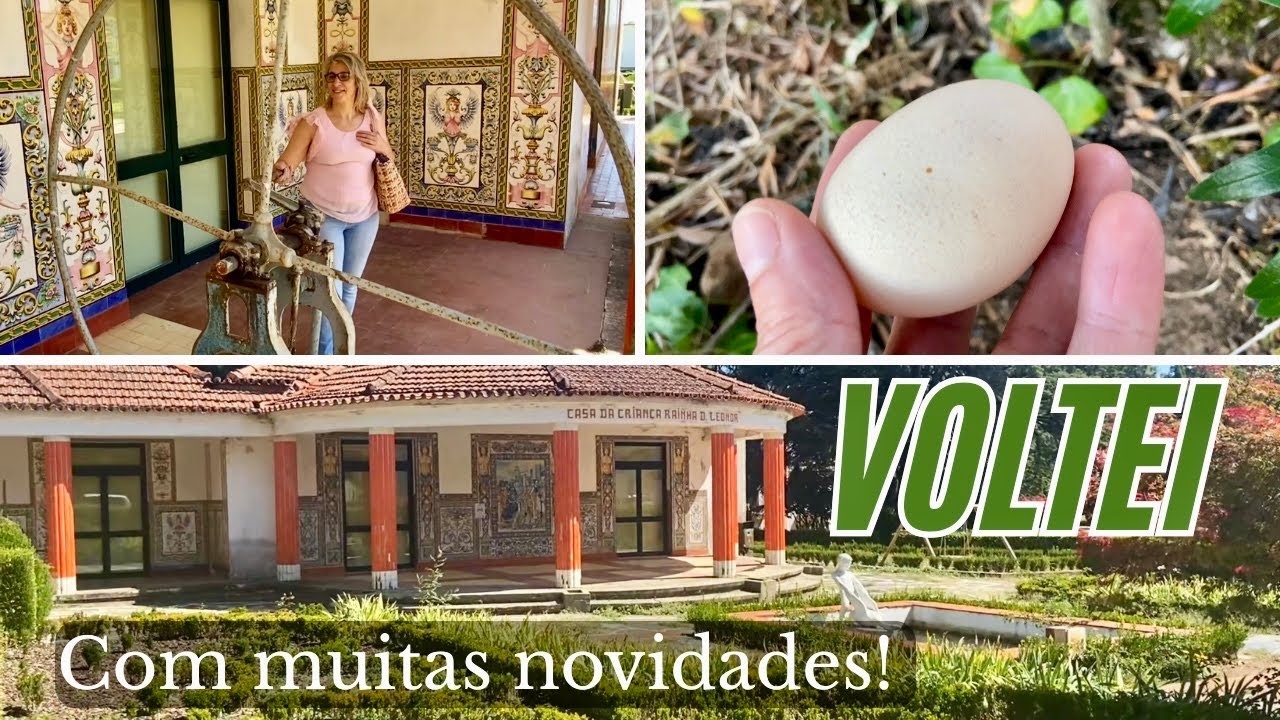 Já temos Ovos! Fomos passear a Castanheira de Pêra 🇵🇹🏡 Vlog 