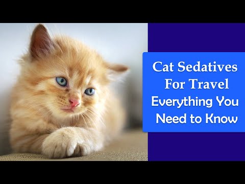 Video: Sedative For Cats: Types, Indications For Use, A Review Of Effective Remedies, Side Effects, Reviews