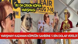 The World’s Ugliest Dog Contest