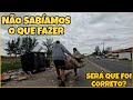 TEM MUITA COISA PRA MELHORAR AQUI NA ILHA / QUEBRANDO A ROTINA
