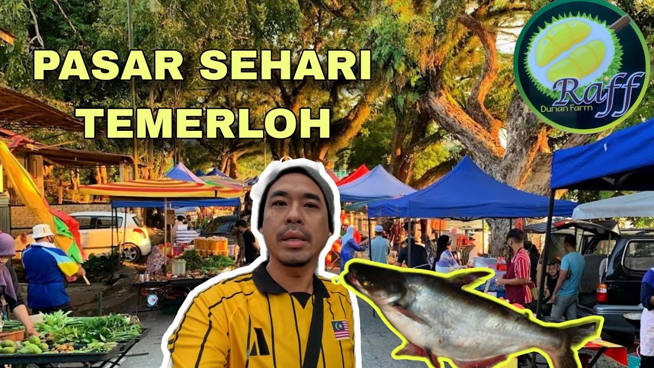 PASAR TERPANJANG DI DUNIA PASAR SEHARI TEMERLOH | MENGINAP DI RAFF DURIAN FARM