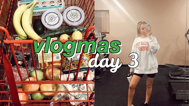 vlogmas day 3: trader joe's haul & work out with me | maddie cidlik