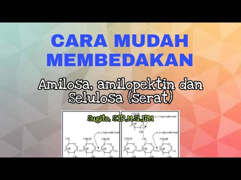 CARA MUDAH Membedakan Amilosa, Amilopektin dan Serat