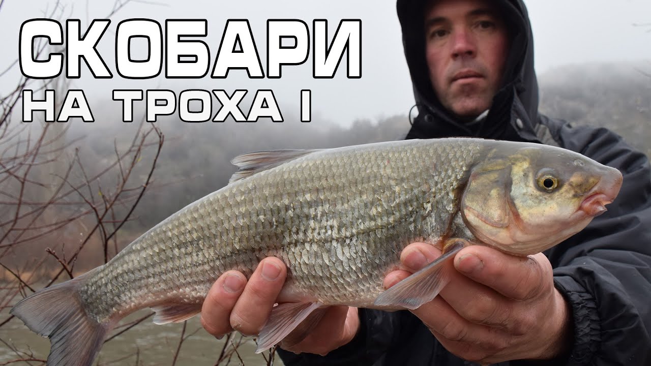 Струмски скобари на троха - част 1