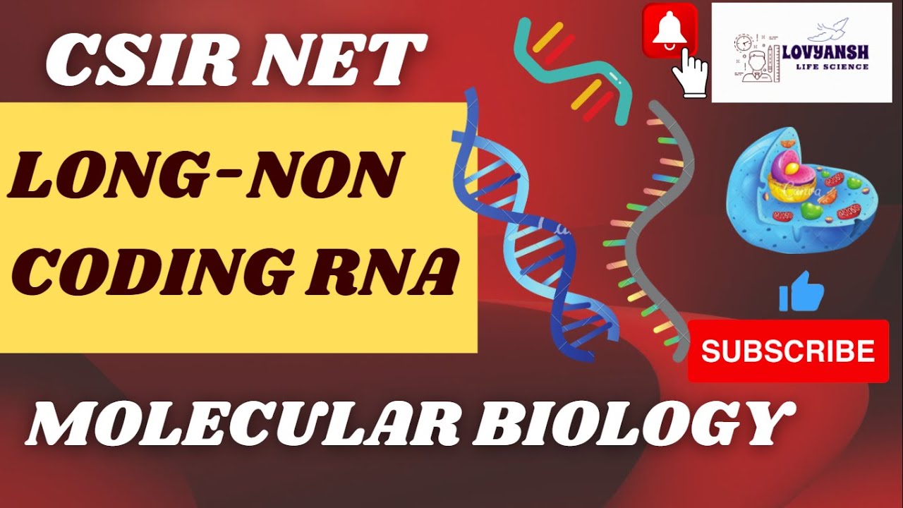 LONG NON CODING RNA TOPIC OF MOLECULAR BIOLOGY IN DETAIL EXPLANATION ...