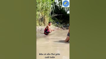 nganbangRIVEWnhạc-tiểuphẩm; 😂 Cười Xỉu Stroest – Chuyện Nhỏ Mà Vui To!