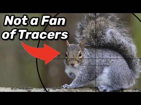 Problems with Squirrels? Click This!