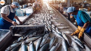 Russian Fishermen Process Sea Fish Right On Their Boats In The Middle Of The Ocean - Modern Fish ...