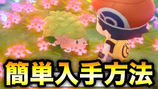 ポケモンbdsp シェイミ 簡単入手方法 ブリリアントダイヤモンド シャイニングパール Youtube ポケモンbdsp シェイミ 簡単入手方法 ブリリアントダイヤモンド シャイニングパール Youtube