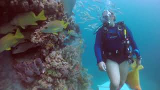 Female Scuba Diver Dives Around Undersea Research Station