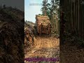 Mountain Truck Hauls Logs: Almost Tips Over Forest Transport Safety Tip #ForestTransport #SafetyTips