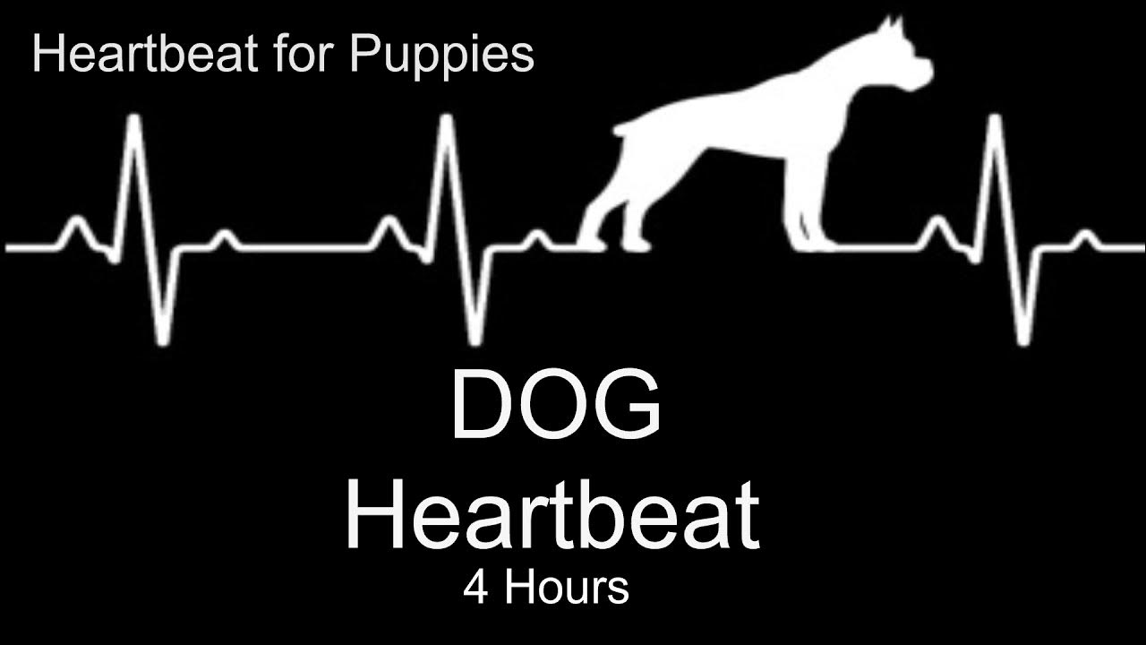 FOR THE PUPPY Heartbeat to sleep and soothe their anxiety. FOR THE PUPPY Heartbeat to sleep and soothe their anxiety.