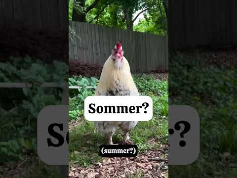 Deutsche und das Wetter