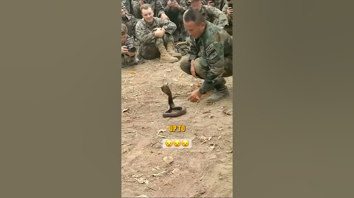 This Solder Tamed A Snake