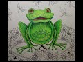 Enchanted forest frog part 1