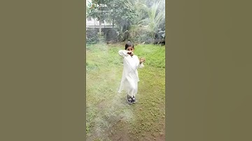 Vathikkalu Vellaripravu dance