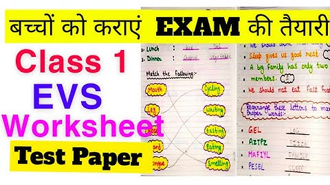 Class 1 EVS worksheet|EVS worksheet for Class 1|Class 1 EVS