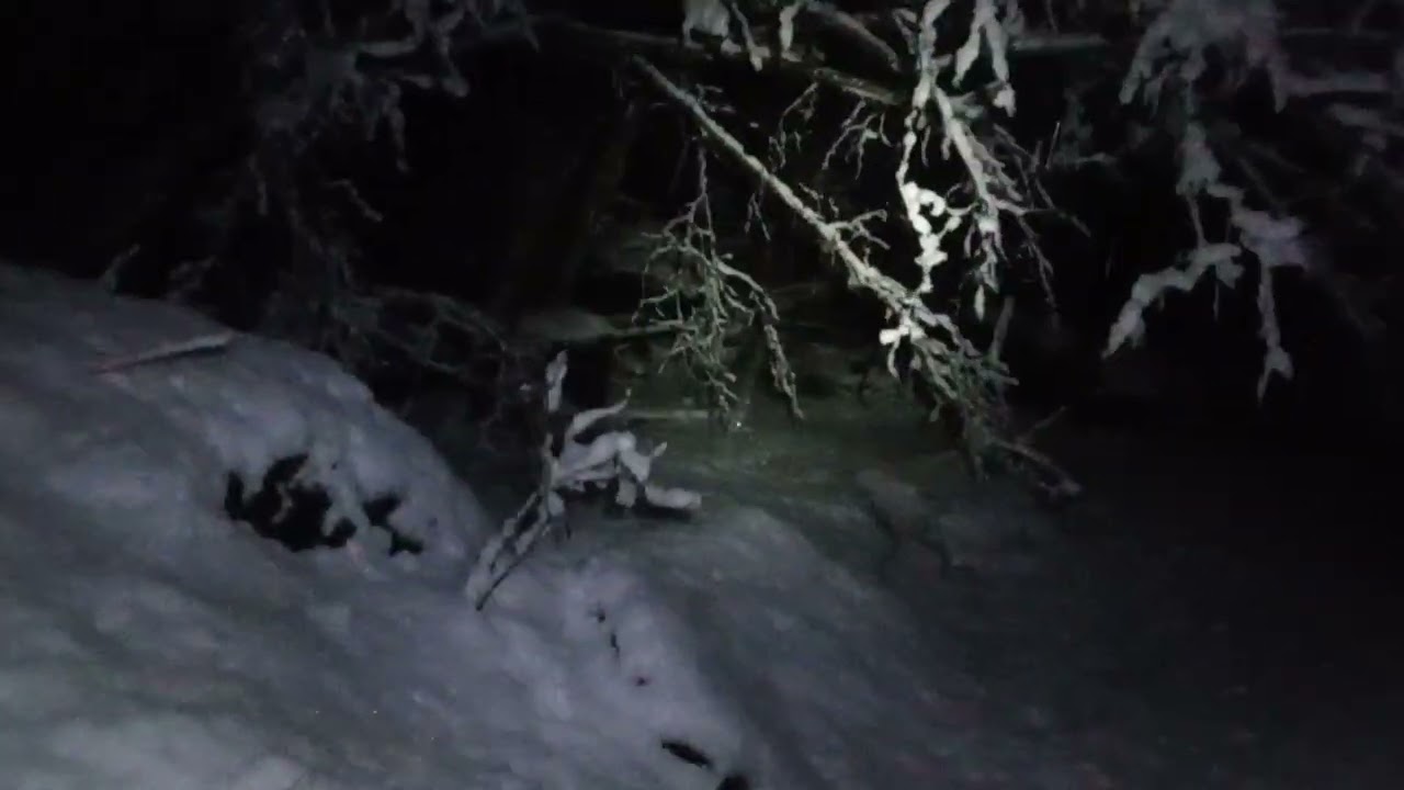 CPN-SPIRITWALK in a Haunted Forest (they don't want me here!!)