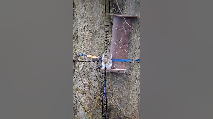 grey squirrel hunting uk  #protectthereds #shooting #pestcontrol
