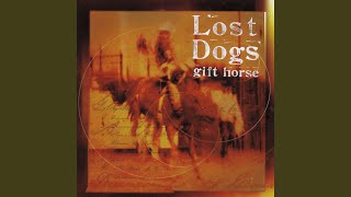Watch Lost Dogs The Wall Of Heaven video