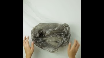 Single Use Plastic Swaps