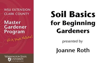 Soil Basics for Beginning Gardeners
