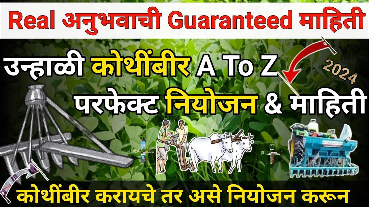 unhali kothimbir lagwad | उन्हाळी कोथींबीर लागवड कधी करावी | kothimbir lagwad in marathi |