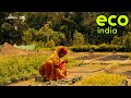 Eco India: Armed with microfinance loans, rural women in Kolkata are kickstarting fruit nurseries