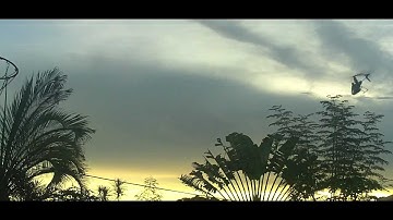 MSR with ZBAR Paddle-less flybar outdoor flight - trimmed weight mount 2