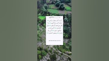 #سورة_الماعون تلاوة خاشعة للقارئ علاء عقل