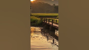 Kí Ức Tuổi Thơ, Hồi Tưởng Trong Miền Nhớ #shorts