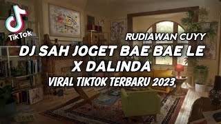 DJ SAH JOGET BAE BAE LE X DALINDA VIRAL TIKTOK TERBARU 2023 YANG KALIAN CARI ! | RUDIAWAN CUYY