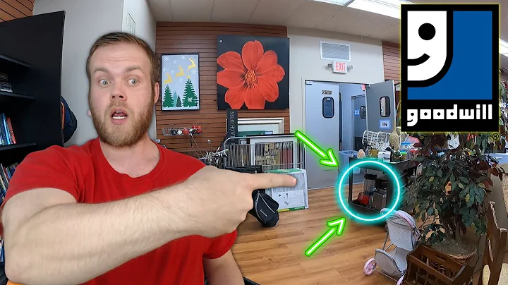 This Goodwill Cart had a BIG Surprise!