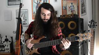 Temperance - 'Viridian' Bass Playthrough - Luca Negro