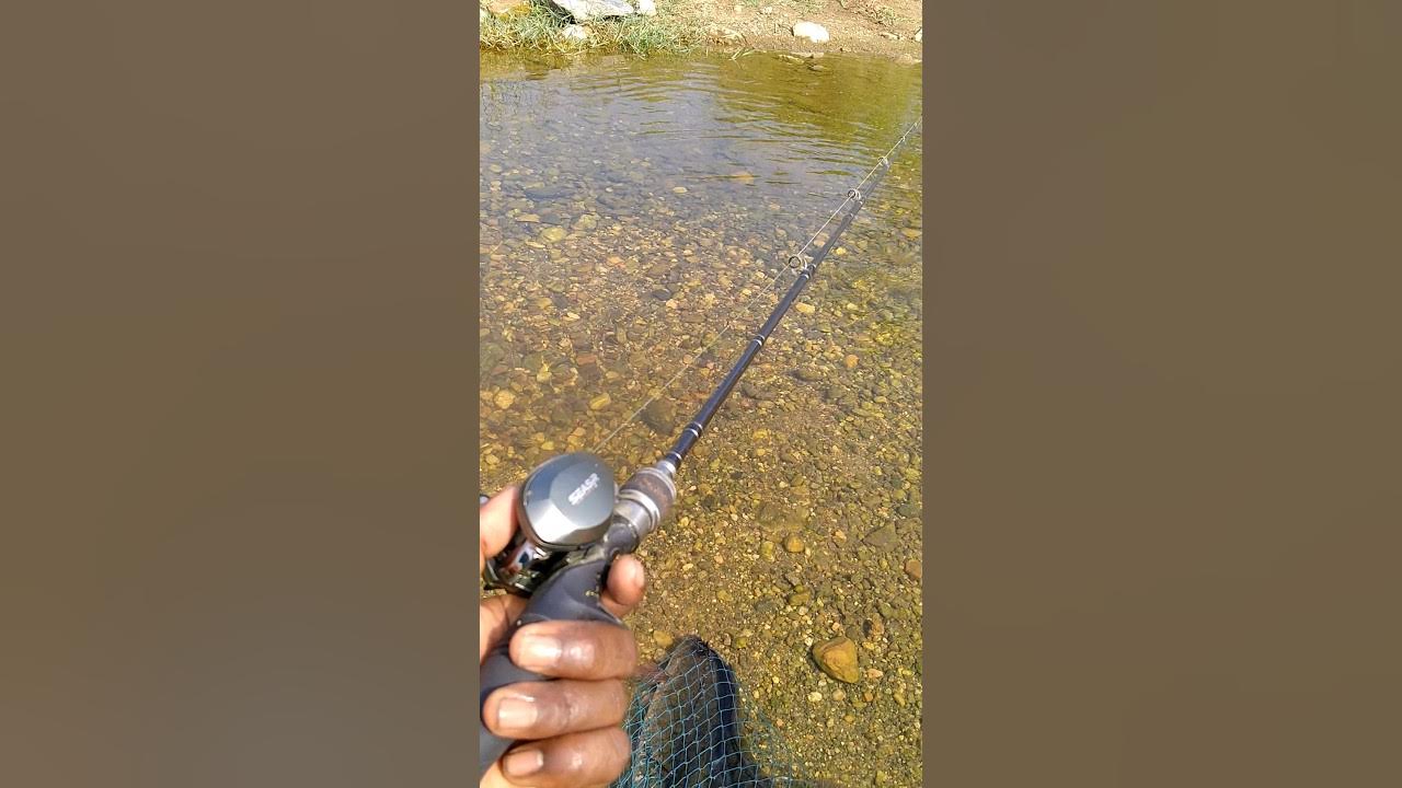 my best rod and reel setup for snakeheads / hunting balck rod and