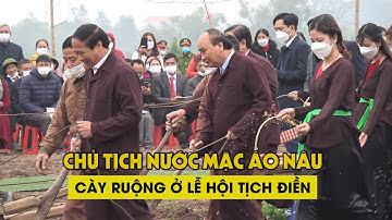 Chủ tịch nước mặc áo nâu cày ruộng ở Lễ hội Tịch điền