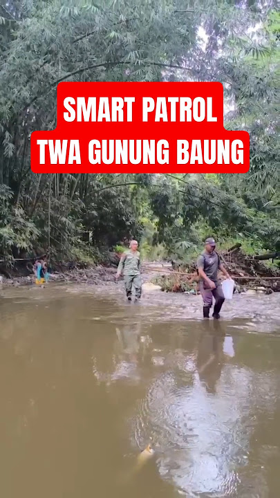 Smart Patrol TWA Gunung Baung, jelajahi hutan bambu #pasuruan #bksda #jawatimur #hutan #patroli