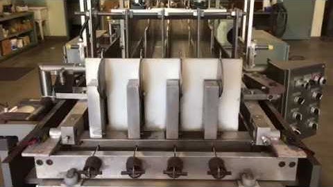 Hamrick Model 360-D Case Packer with Servo Laner