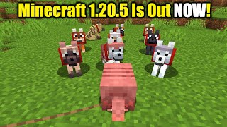 Minecraft 1.20.5 Update Essentials! Plus Spawn Chunk Changes!
