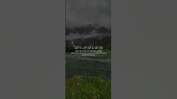 سورة فاطر القارئ ماهر المعيقلي