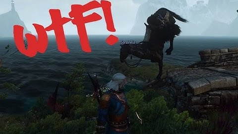 The Witcher 3 Bugs and Glitches funny compilation