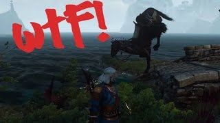 The Witcher 3 Bugs and Glitches funny compilation