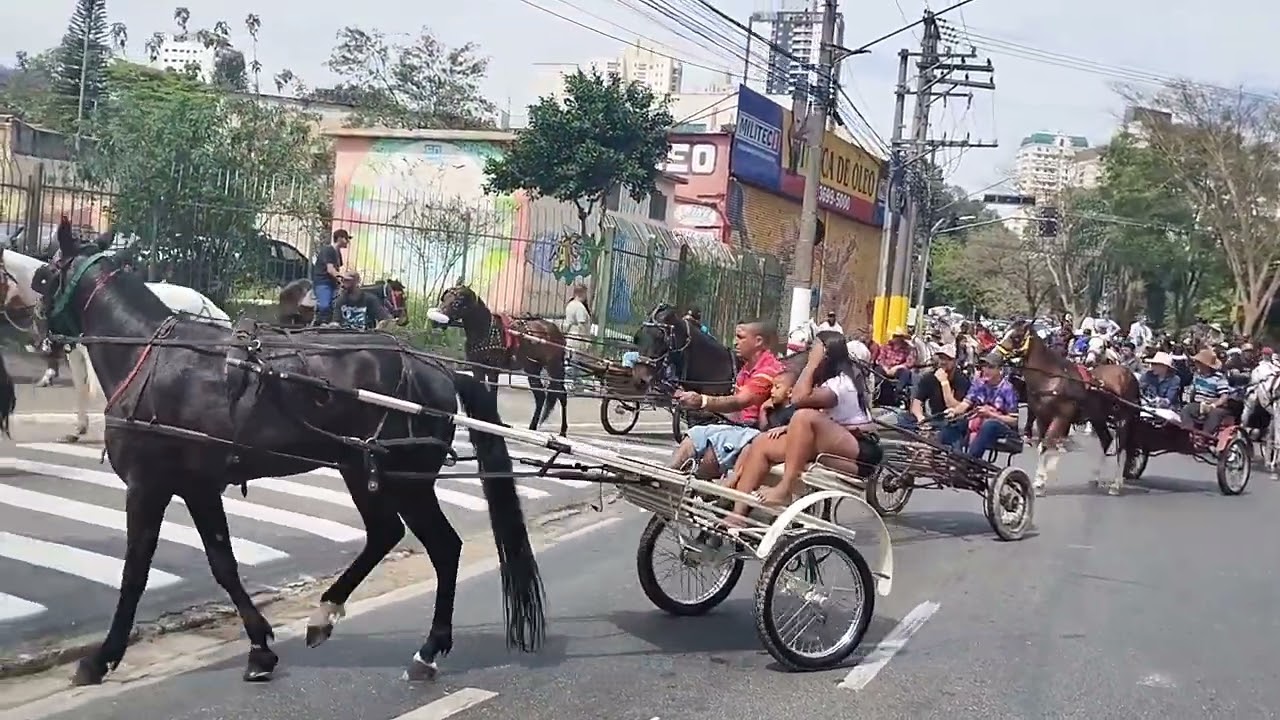 CAVALGADA AMIGOS DE OZ EM OSASCO CHEGADA  DA CAVALGADA