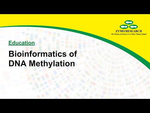 Vídeo: MethylKit: Um Pacote R Abrangente Para A Análise De Perfis De Metilação De DNA Em Todo O Genoma